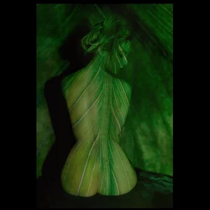 Humanités-Le-corps-feuille-Hommage-a-la-nature-1-Charlotte-Brunstein-Copyright-2025
