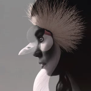 Animalité