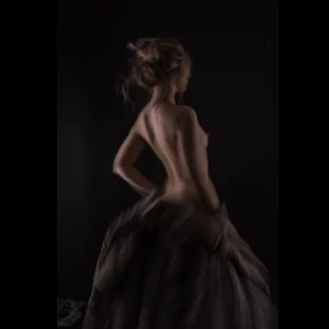 Belle de nuit
